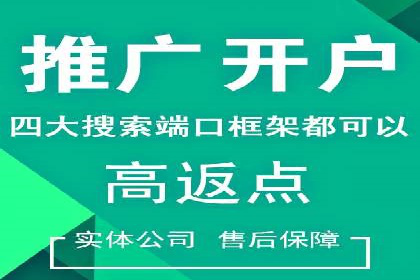 谷歌SEM操作技巧：案例解析与优化